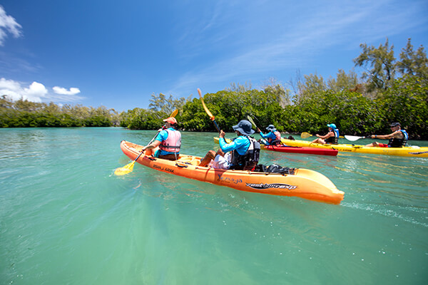 Sea Kayaking at Ile aux Bernaches – Full Day